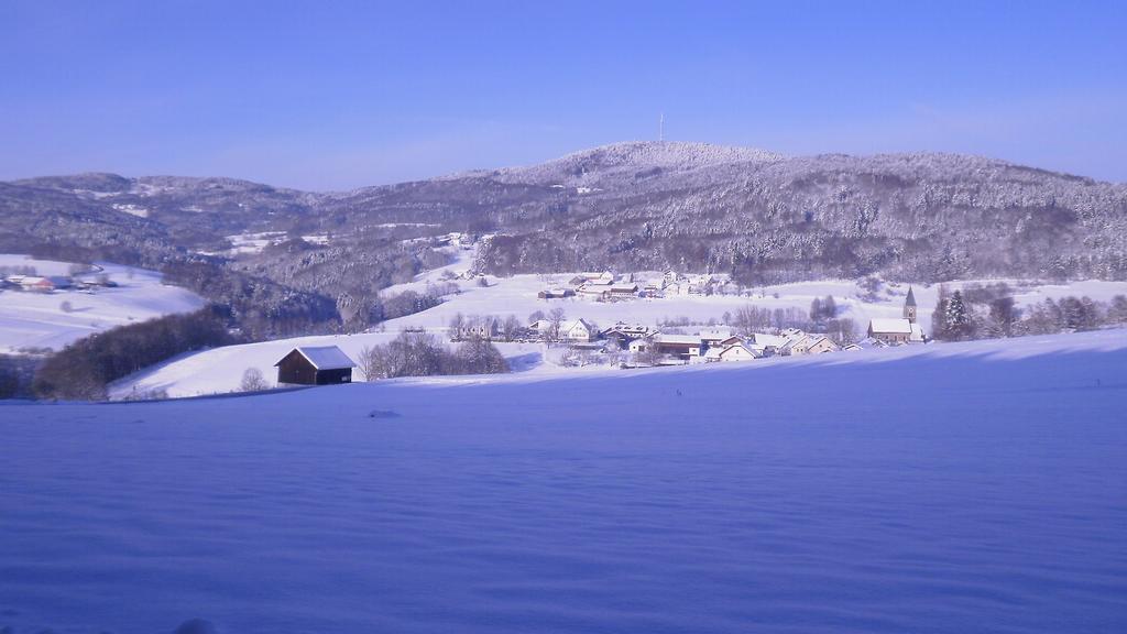 Landgut Stetter Hotel Schollnach ภายนอก รูปภาพ