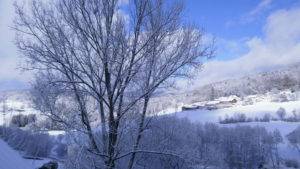 Landgut Stetter Hotel Schollnach ภายนอก รูปภาพ