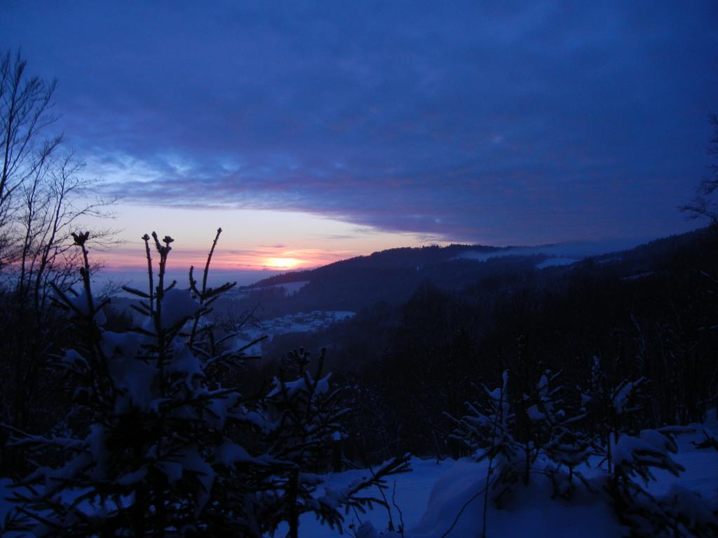 Landgut Stetter Hotel Schollnach ภายนอก รูปภาพ