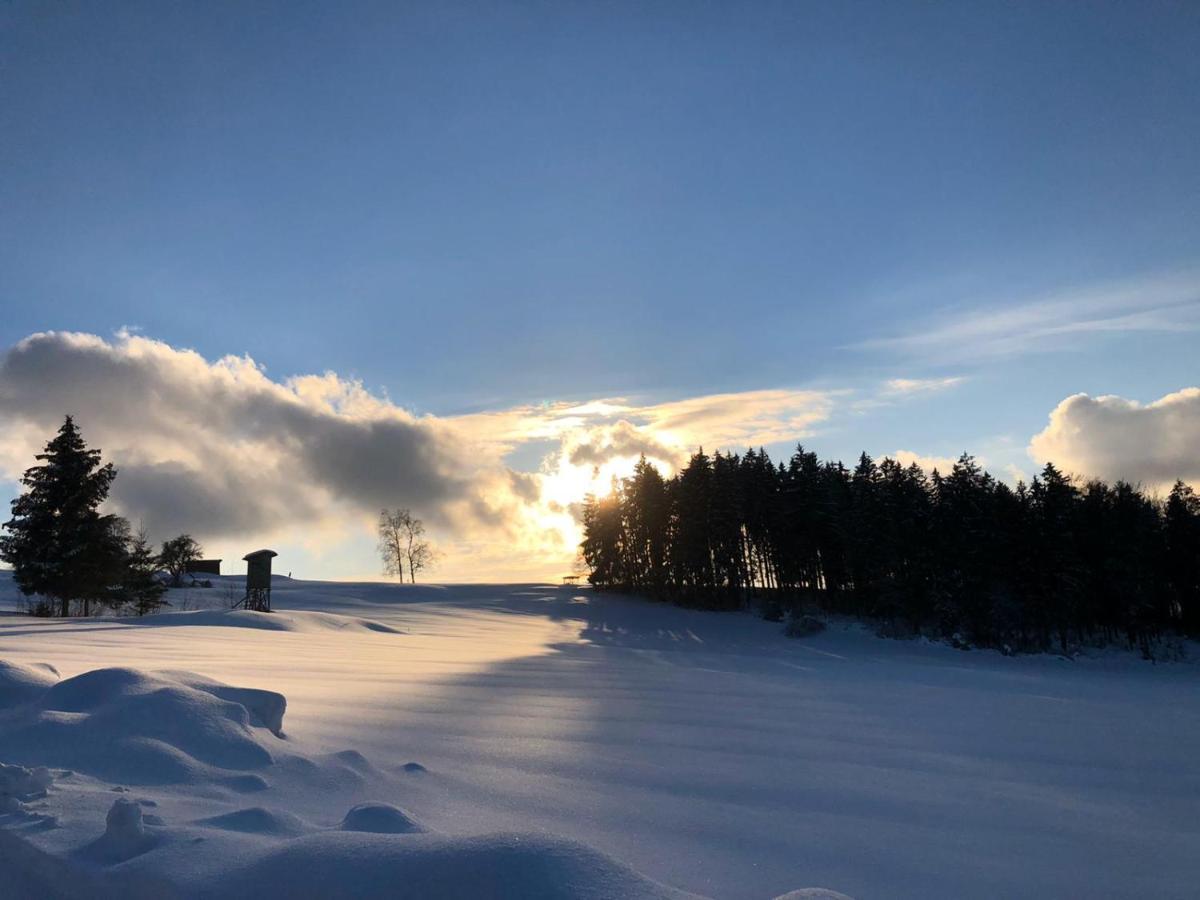 Landgut Stetter Hotel Schollnach ภายนอก รูปภาพ